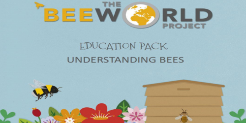 Teach your class how to ‘Bee’ friendly