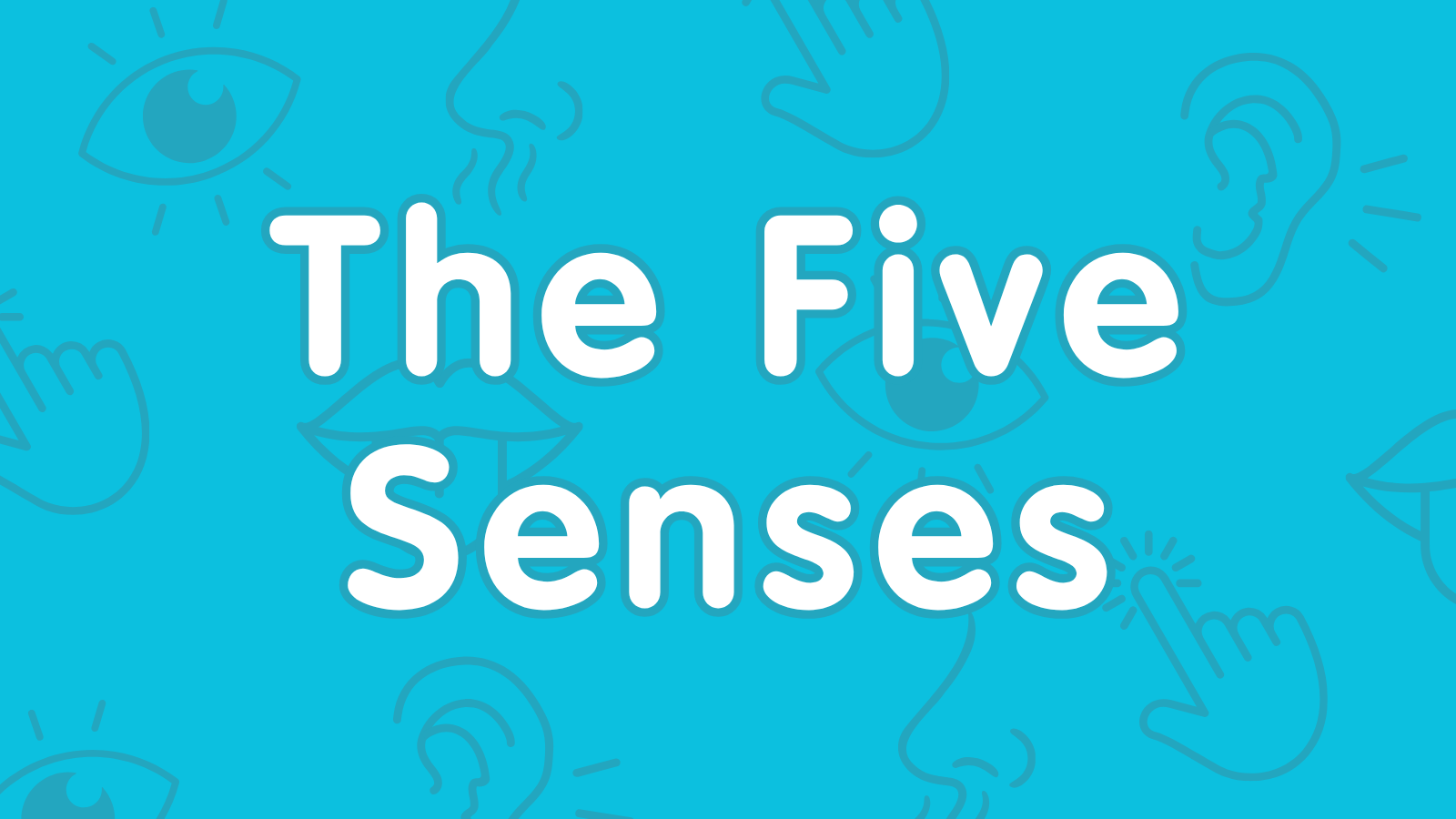 KS1-KS2 The Five Senses