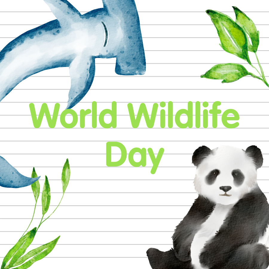 World Wildlife Day 2026