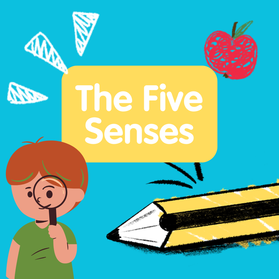 KS1-KS2 Display: The Five Senses