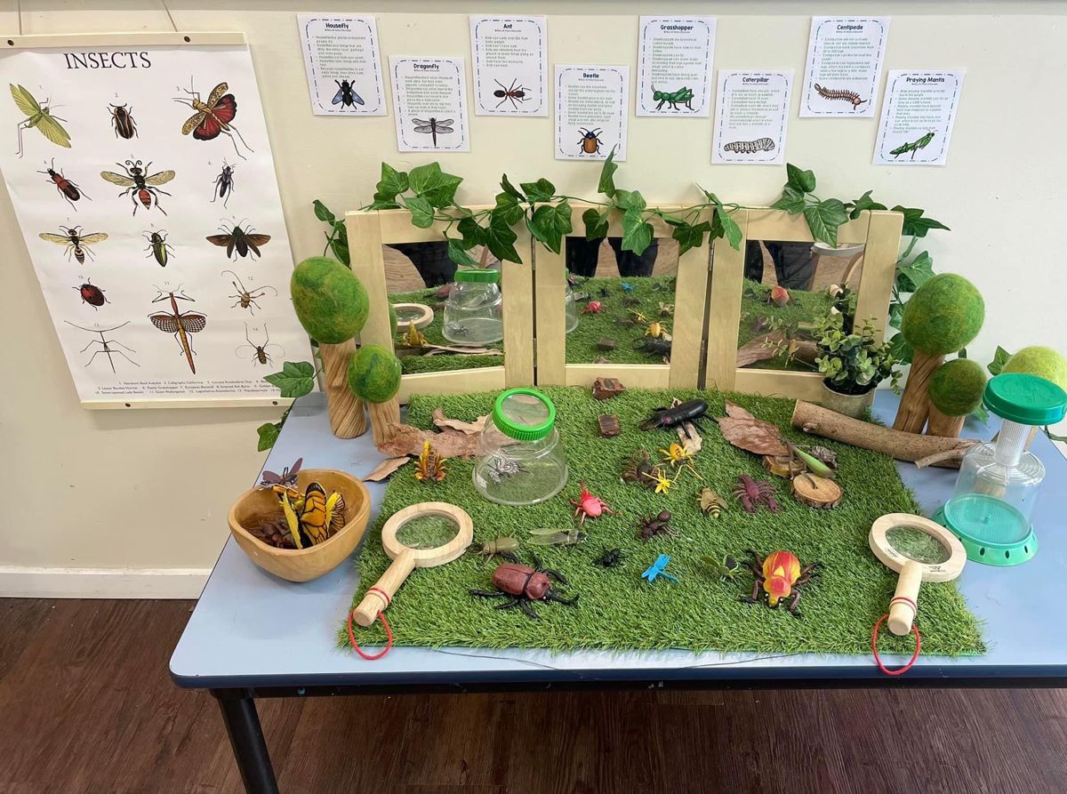 5 fun ways to bring nature indoors this term