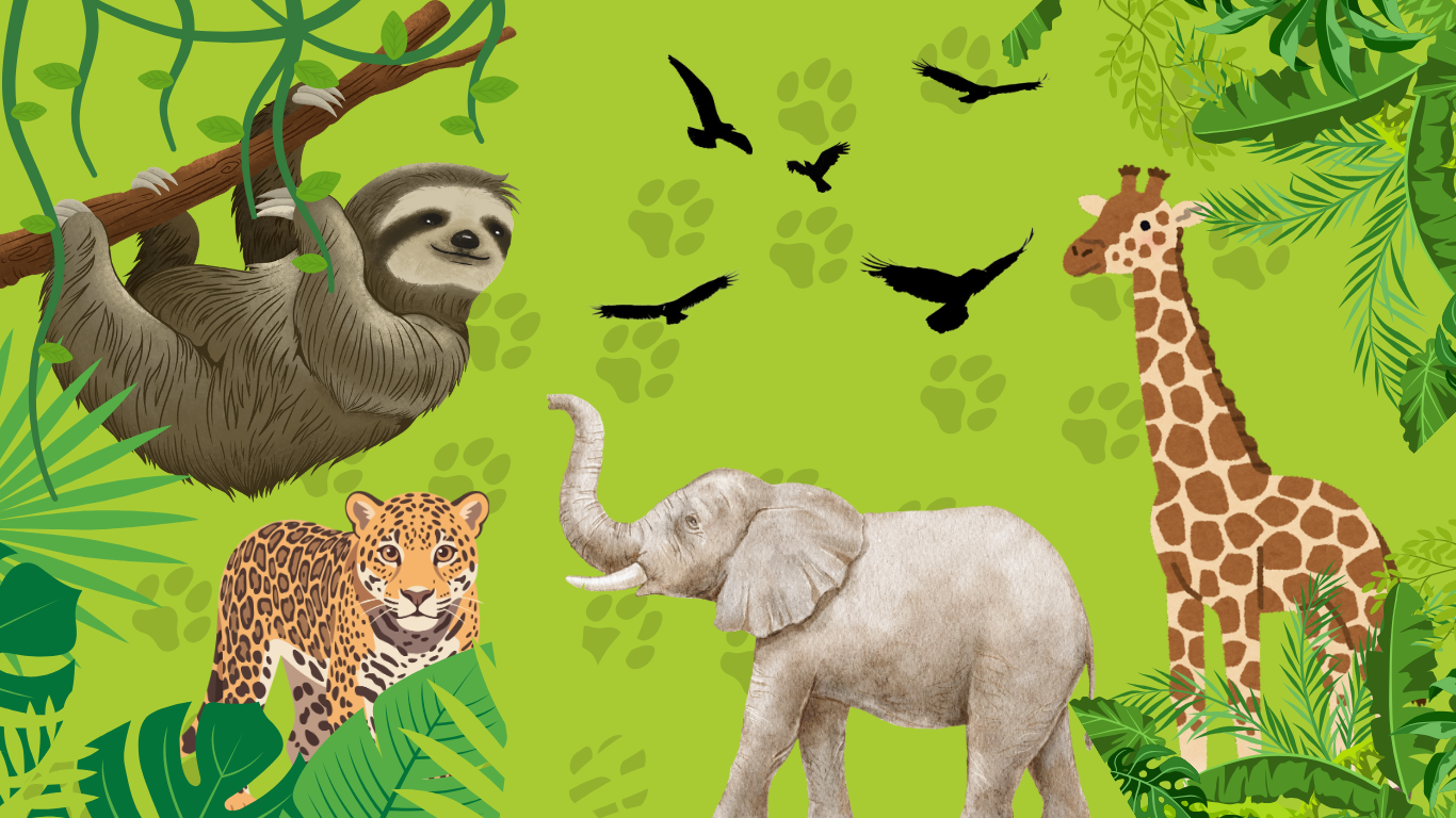 Lesson idea: if animals could talk&hellip; what would they say about climate change?