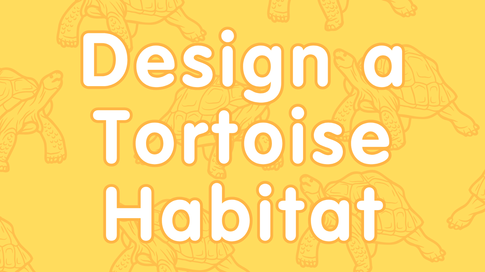 KS2 Design a Tortoise Habitat