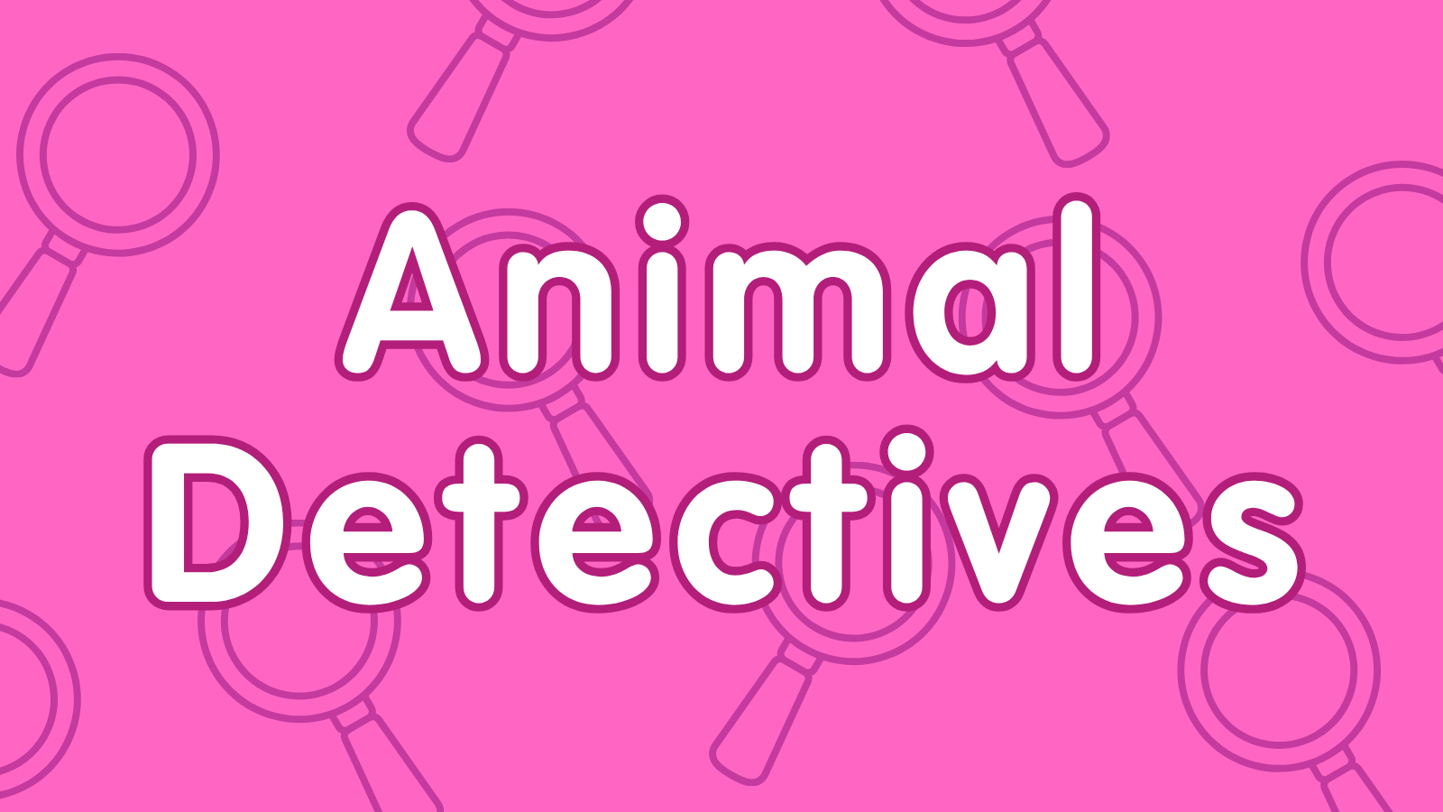 KS2 Animal Detectives